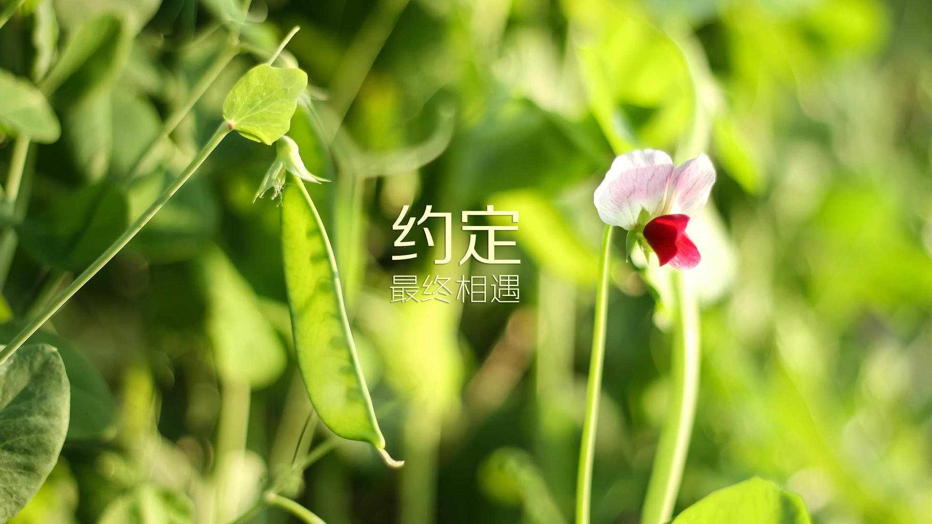 农业灌溉用水水价标准最新版(农业灌溉用水收费标准)