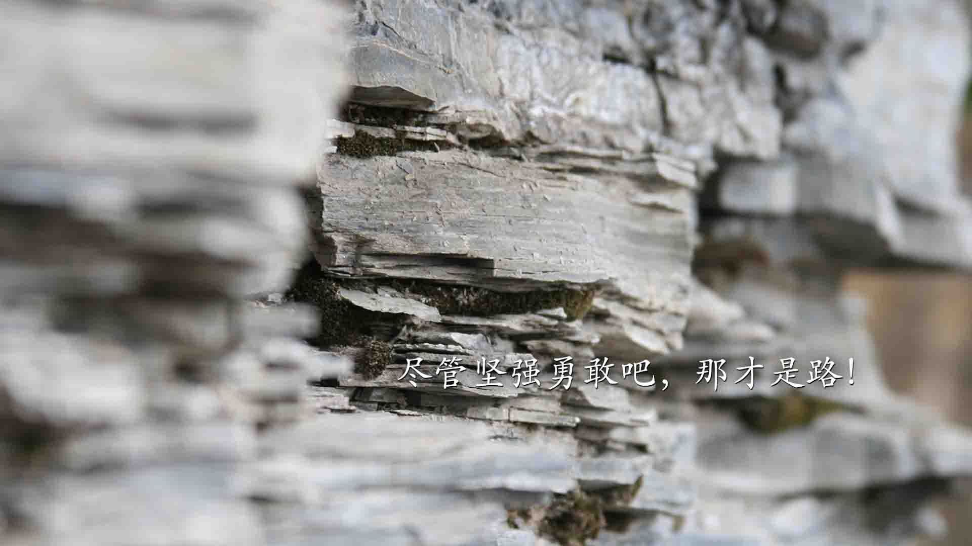 农业灌溉电表违规用电(农业灌溉用电电表怎样申请)